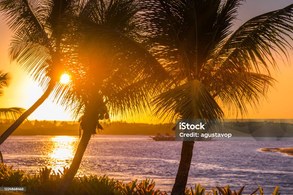 Dramatic sky over beach and palm trees in Bahia, northeast Brazil – sunset in Porto Seguro Dramatic sky over beach in Bahia, northeast Brazil – sunset in Porto Seguro, Arraial d’Ajuda Porto Seguro Stock Photo Dramatic sky over beach and palm trees in Bahia, northeast Brazil – sunset in Porto Seguro Dramatic sky over beach in Bahia, northeast Brazil – sunset in Porto Seguro, Arraial d’Ajuda Porto Seguro Stock Photo