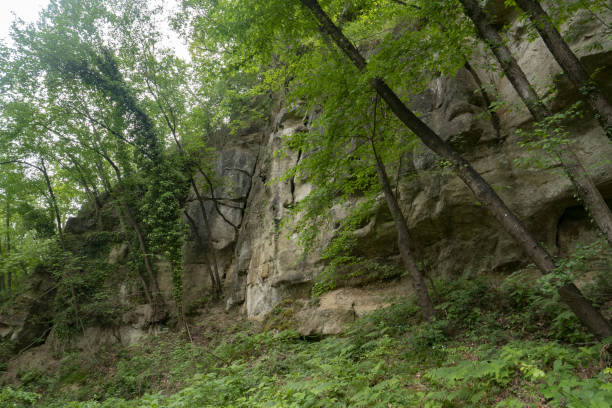 istock Stratifications in sandstone at Contrafforte Pliocenico, Italy 1224868528