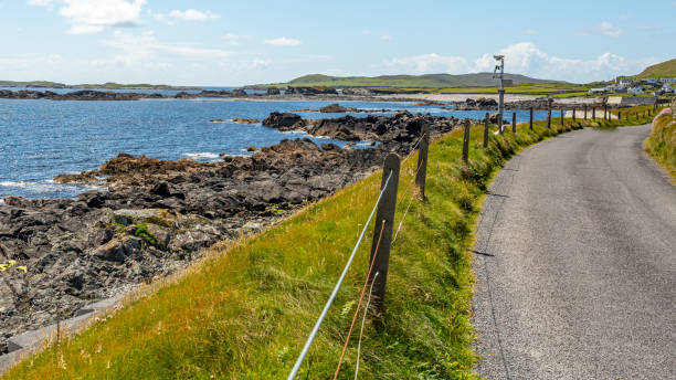 istock Shoreline road between fences with spectacular coastal scenery 1224870422
