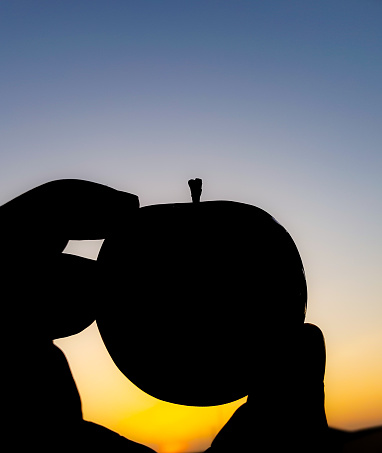Silhouette of hand holding apple against the sunset. Apple silhouette in the sky.