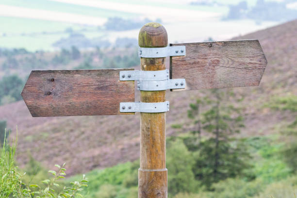 istock Blank Wooden signpost pointing in opposite directions 1224871850