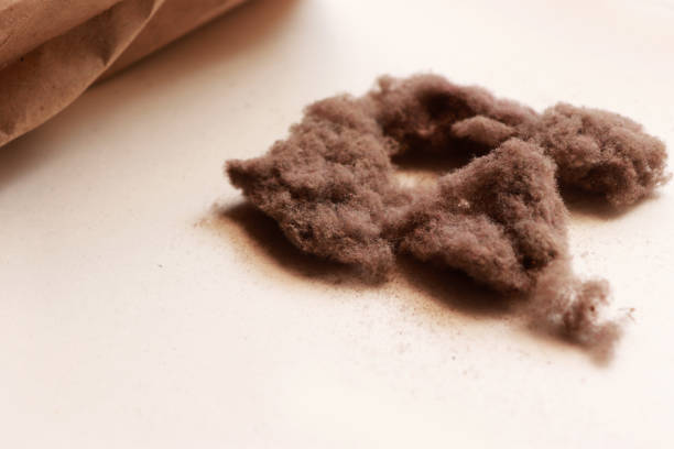 istock Bunch of Dust and One Paper Bag 1224871909
