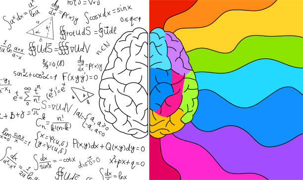 ilustrações, clipart, desenhos animados e ícones de teoria do cérebro esquerdo/direito - cosinus