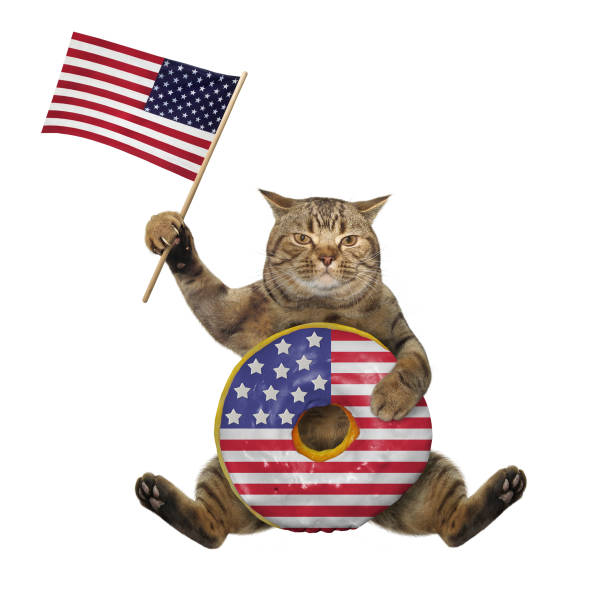 istock Cat with usa donut and flag 1224885821
