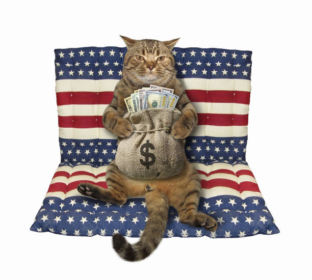 istock Cat with sack of dollars on air bed 1224885822