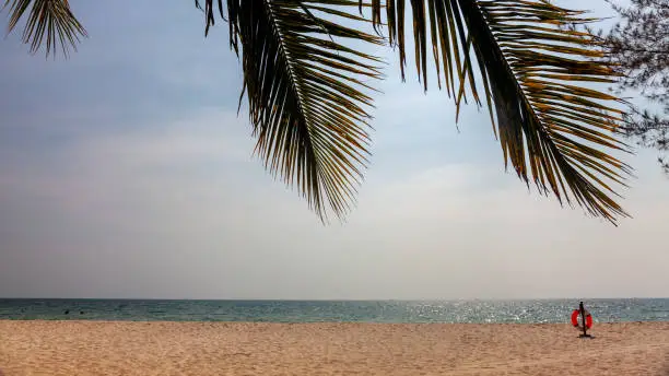 Lifeline on an empty beach. Panoramic empty beach under palm leaves. Concept: empty resort, bad beach season, loneliness, bad tourism, self-isolation