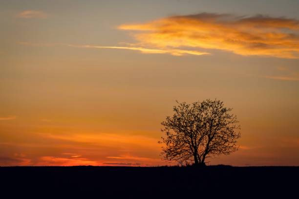 istock Sunset sky with red, yellow, orange and blue colors 1224888718