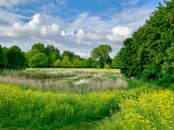 istock Walking in the Nature 1224889878