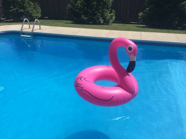 istock Pink Flamingo 1224890998