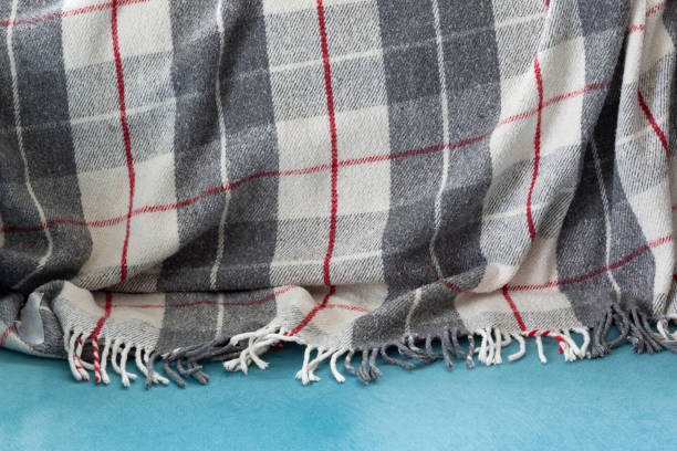 istock armchair on blanket home style 1224893507