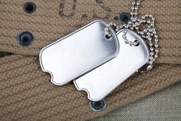 istock A pair of blank dog tags on U.S. Army uniform world war two era 1224895536