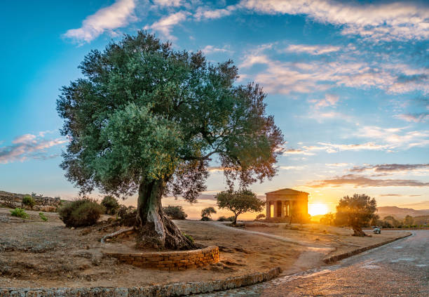 valley of the temples agrigento - sicily - italy