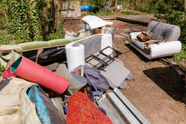 istock illegal garbage disposal in a green area 1224900548