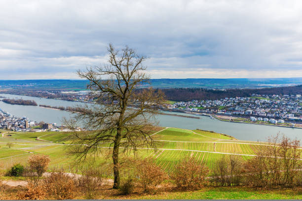 istock View from Niederwalddenkmal in Ruedesheim am Rhein, Germany 1224900574