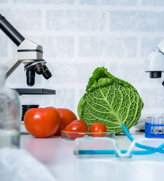 istock Genetic breeding of vegetables in lLaboratory , analyzing food quality, 1224902637