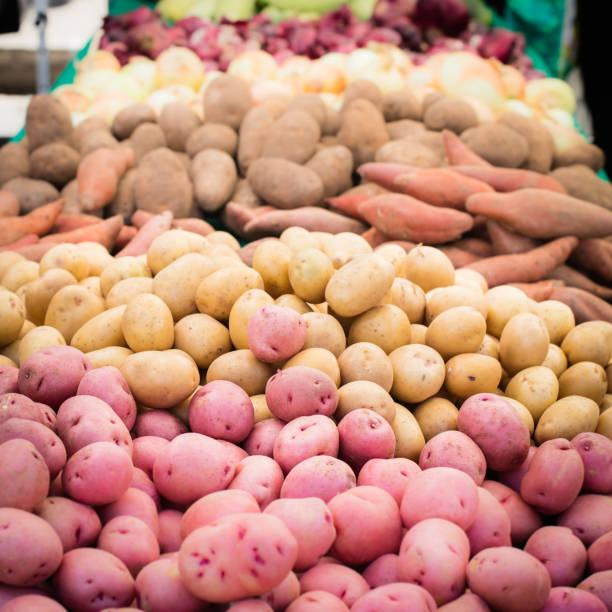 Potatoes red and white
