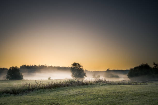 istock Mist in the morning on a meadow 1224916099