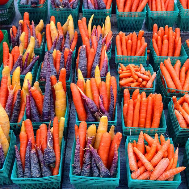 Food lovers vegan