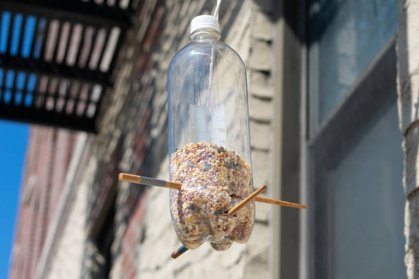 Homemade Plastic Bottle Bird Feeder Hanging Outside an Urban Apartment Building in New York City A closeup of a homemade plastic bottle bird feeder filled with bird seed hanging outside of an urban apartment building in New York City bird feeder photos stock pictures, royalty-free photos & images