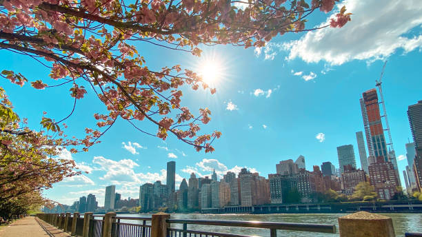 istock View of Manhattan from Roosevelt Island 1224921830