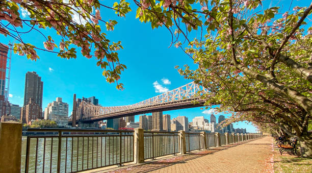 istock View of Manhattan from Roosevelt Island 1224921834