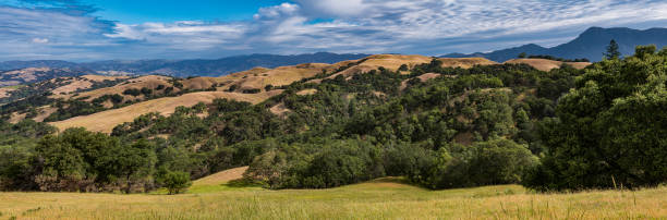 the rolling hills of the Pepperwood Preserve that were burnt in the 2019 major wildfire. Santa Rosa, Sonoma County, California. Looking toward the East over the grass land, oak trees to the Mayacamas Mountain Range. las colinas ondulantes de la reserva pepperwood que fueron quemadas en el incendio forestal importante de 2019. santa rosa, condado de sonoma, california. mirando hacia el este sobre la tierra de hierba, robles a la cordillera de mayacamas.