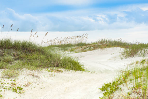 istock Sandy Dunes at Cape Canaveral Florida 1224923693