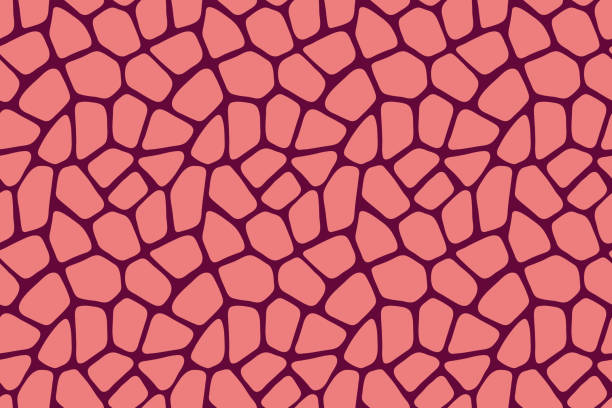 Seamless abstract pattern skin print design. Stones artwork light pink background. Vector illustration Seamless abstract pattern skin print design. Stones artwork light pink background. Vector illustration skin stock illustrations