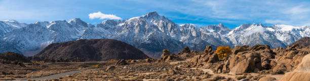 Red oak growing between rocks in foothills in front of the Sierra Nevada Mountains covered by snow and clouds, California, USA. Sierra Nevada Mountains covered by snow and clouds, California, USA. brightly lit winter season rock stock pictures, royalty-free photos & images