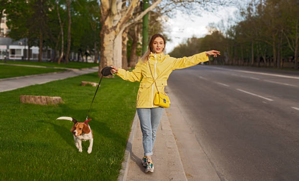 istock Active woman getting car on road with dog on leash on grass 1224927389
