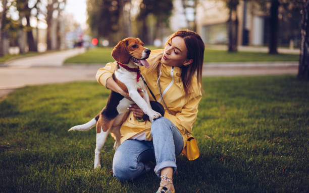 istock Careful woman looking at dog while hugging in green grass 1224927395
