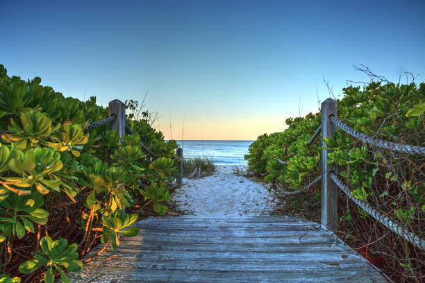 istock Boardwalk leading down to the white sand of Vanderbilt Beach 1224930938