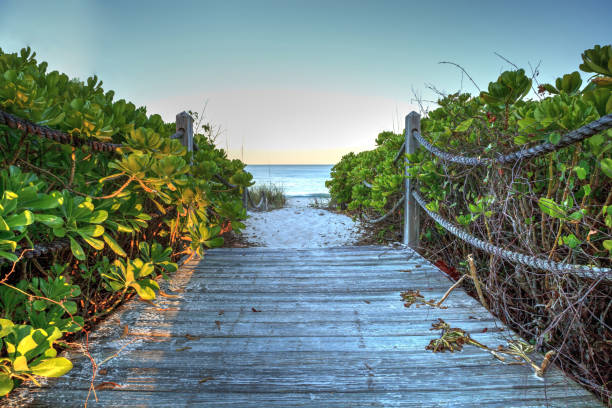 istock Boardwalk leading down to the white sand of Vanderbilt Beach 1224930991