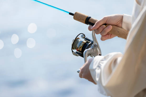 520+ Deep Sea Fishing Rod Stock Photos, Pictures & Royalty-Free