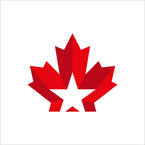 스타 벡터 로고 템플릿메이플 리프. 캐나다 데이 디자인에 좋습니다. 플랫 컬러 스타일 - canadian culture leaf symbol nature stock illustrations