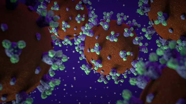 istock Multiple 3D modeled and rendered COVID-19 novel coronavirus virus microscopic spores or spikey red purple and green spheres with dust particles floating in a dark purple or blue background. 1224936677