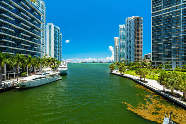 downtown miami - brickell key stock-fotos und bilder