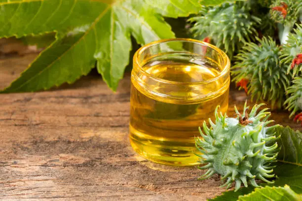 Photo of Ricinus communis oil in glass container - Wood background