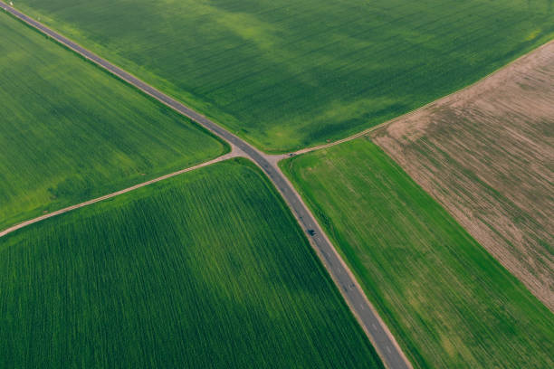 istock Green fields with wheat and a highway between them. Agriculture with altitude 1224942912