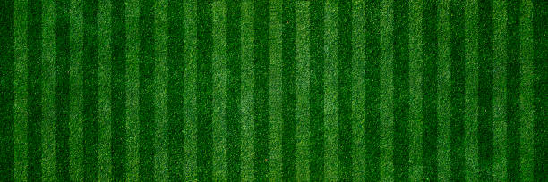 green grass turf texture background green grass turf as football field texture background grass shoulder stock pictures, royalty-free photos & images