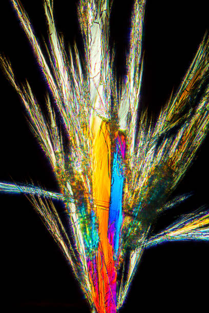 micrographe abstrait des cristaux de l’acide aminé alanine. - scientific micrograph science bee abstract photos et images de collection