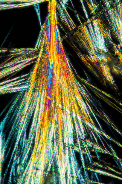 micrographe abstrait des cristaux de l’acide aminé alanine. - scientific micrograph science bee abstract photos et images de collection