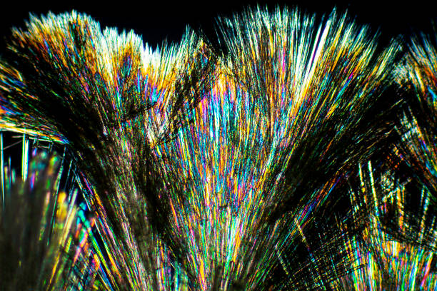 micrographe abstrait des cristaux de l’acide aminé alanine. - scientific micrograph science bee abstract photos et images de collection