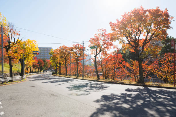 istock Suita cityscape 1224946638