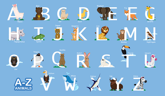Instructional Media Az Animal Letter From A To Z And Various Animals Near  Letters Light Blue Backgroud Stock Illustration - Download Image Now -  iStock