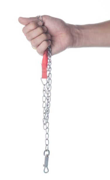istock hand holding leash for dog on a white background 1224951383