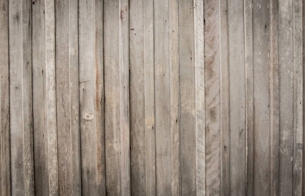 istock Texture of wood background 1224951424