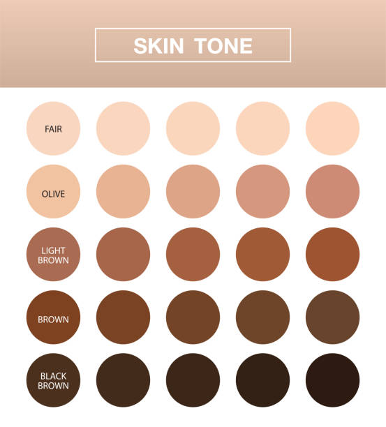 skin tone infographic, Color table chart ,  beauty human index, vector design. skin tone infographic, Color table chart ,  beauty human index, vector design. toned image stock illustrations