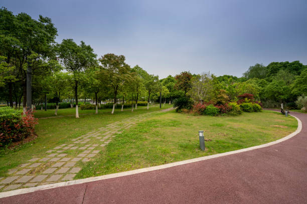 istock Sydney city building and park 1224954085