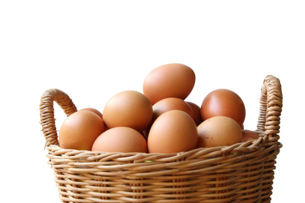 zbliżenie jaj w koszu odizolowanym na białym tle - animal egg eggs basket yellow zdjęcia i obrazy z banku zdjęć
